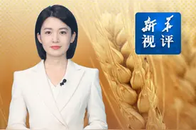 新华视评｜以钉钉子精神狠抓节粮减损视频封面