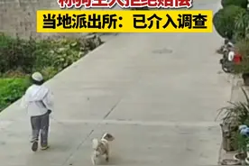 10月21日，一女子发视频称在云南大理旅行时，被未牵绳大狗咬伤，称住院20多天仍未痊愈，狗主人拒赔医药费。当地派出所：正在进一步处理。视频封面