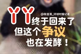 丫丫终于回来了，但这个争议也在发酵！#丫丫  #丫丫启程回国  #丫丫预计27日下午抵达上海 #聚v计划视频封面