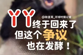 丫丫终于回来了，但这个争议也在发酵！#丫丫  #丫丫启程回国  #丫丫预计27日下午抵达上海 #聚v计划视频封面