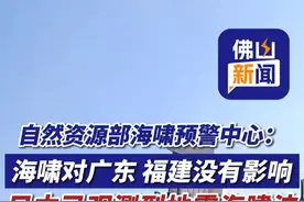 自然资源部海啸预警中心：此次海啸对广东等东南沿海地区没有影响！日本石垣岛观测到30cm的海啸波（编辑：罗罗）  #海啸 #台湾花莲县海域73级地震 #海啸到达日本冲绳与那国岛视频封面