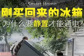 冰箱刚买回来为啥要静置后才能开机？ #家电 #冰箱 #涨知识视频封面
