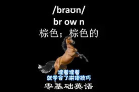 零基础英语记单词brown 读着读着就掌握了单词拼读技巧