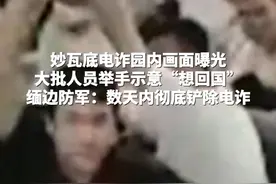 妙瓦底电诈园内画面曝光, 大批人员举手示意“想回国” #妙瓦底 #电诈视频封面