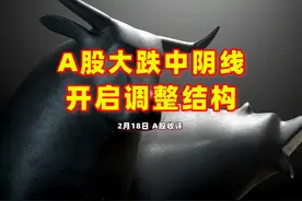 A股大跌中阴线，4626家下跌，科创50指数跌2.52% #股民交流 #股票视频封面
