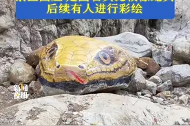 郑州一景点“巨型蛇头”栩栩如生被指吓人，景区回应：是因石头比较像蛇头，后续有人进行彩绘。#景区  #旅游