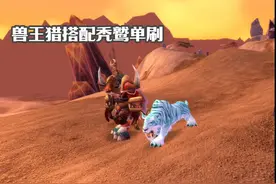 20周年服兽王猎搭配秃鹫将成为单刷绝配 #魔兽世界视频封面