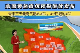 热！ 高温黄色省级预警继续发布，未来三天最高气温35~39℃，4-5日局地40℃ #高温黄色预警 #湖北天气