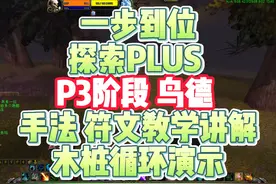 一步到位探索PLUS P3阶段鸟德手法教学讲解 一步到位探索PLUS视频封面