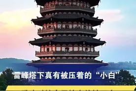 雷峰塔下真有被压着的“小白”
重建时地宫里挖出的铁函中
曾发现一只白色活着的虫子
#雷峰塔视频封面