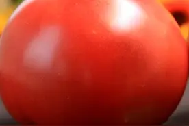 人到中年，就好这口简单！10分钟西红柿鸡蛋面，家的味道视频封面