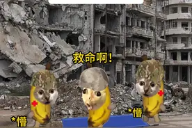 战场上的“医学奇迹” #猫meme #猫meme日常 #战争视频封面
