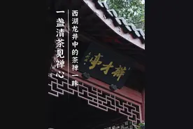 一段东坡先生和辩才法师跨时空对话，也载着千年的龙井茶香！#第一口春茶在抖音#召唤茶友#舌尖上的抖音#外国人也开始流行喝中国茶了视频封面
