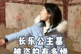 李世民最疼爱的女儿长乐公主，她的墓被盗的有多惨？ #长乐公主视频封面