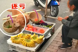狗狗买水果算账比人还精 小旦算账比人还精，想哄它钱可不容易#狗狗买水果 #狗狗挑扁担视频封面