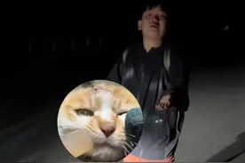 男孩对猫毛过敏仍央求妈妈救重伤小猫，为善良的母子点赞！#大象主播说 @主持人任炜 （苏北凤凰停翅港 新华社）视频封面