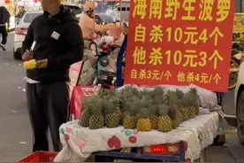 小哥为了卖菠萝竟把自己整成“菠萝头”，网友：菠萝族长在出售他的族人#菠萝哥 #凌源 #网红 #菠萝族长视频封面