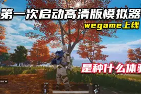 和平精英模拟器高清版正式上线wegame，没想到这么震撼！