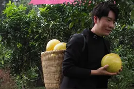 我们这掉地上都没人捡的柚子，拿来做柚子皮软糖，香甜软糯有嚼劲 #乡村守护人 #新农人计划2024 #农村美食 #柚子皮软糖 #我为家乡代言视频封面