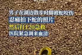 6月3日，广东东莞。37岁的黄先生在湖边散步时，无意中踩中了一条小青蛇，右脚大拇指被蛇咬伤。医院从其他地方调来血清注射，目前黄先生伤情稳定，处于消肿止痛阶段。视频封面