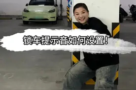 记住！一定要等没人了再锁车！ #汽车 #锁车音效 #特斯拉model3视频封面