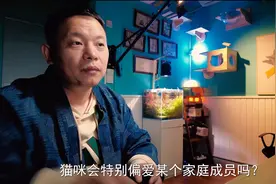 猫咪会特别偏爱某位家庭成员么？怎么让猫咪认你做老大！视频封面