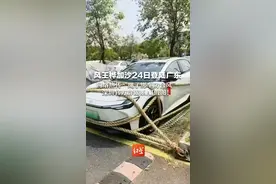 风王桦加沙24日登陆广东 网络热传“绳子绑车防台风” 深圳官方辟谣系AI假图！ 特别提醒：台风天别把车辆停在室外