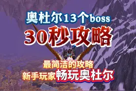 奥杜尔全13个boss 30秒攻略 以最简洁的攻略让新手玩家畅玩奥杜尔视频封面