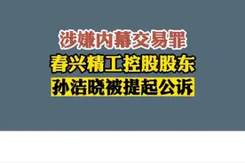 涉嫌内幕交易罪
春兴精工控股股东
孙洁晓被提起公诉视频封面