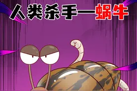 比狮子猛，比鳄鱼凶，蜗牛竟然恐怖如斯？ #抖音动漫 #非洲蜗牛#动画科普  #趣味知识科普 #冷知识