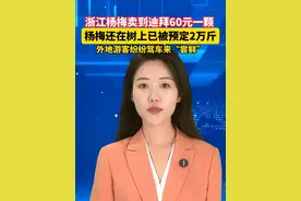 #浙江杨梅卖到迪拜60元一颗   杨梅还在树上已被预定2万斤。#美丽主播说新闻视频封面