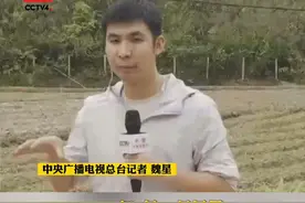 东航空难丨总台记者直击：救援现场今晨降下小雨 藤县22日或有大雨 #东航一客机发生事故 #MU5735失事航班正在救援中 #东航客机事故最新进展 视频封面