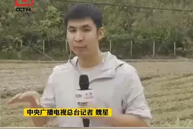 东航空难丨总台记者直击：救援现场今晨降下小雨 藤县22日或有大雨 #东航一客机发生事故 #MU5735失事航班正在救援中 #东航客机事故最新进展 视频封面