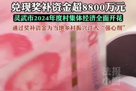 灵武兑现奖补资金8830万元为当地乡村振兴注入“强心剂”#宁夏银川  #奖补资金  #最新消息视频封面