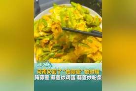 河南又到了“抽蒜薹”的时候，腌蒜薹、蒜薹炒鸡蛋、蒜薹炒粉条...做法多样，吃不完根本吃不完！#河南蒜薹 #抽蒜薹  #河南视频封面