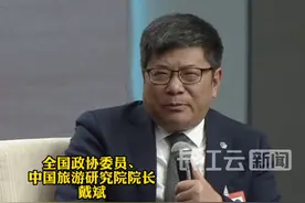 冰箱贴为何成游客新宠？戴斌委员揭秘原因 视频封面