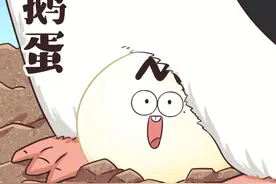 水煮后不一般的企鹅蛋，味道好吃吗？#冷知识 #轻漫计划 #抖音美食创作人视频封面
