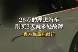 28万的理想汽车 刚买2天就多处故障 官方称重启就行 视频封面