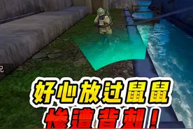 心软放过鼠鼠玩家，却惨遭背刺 #和平精英战场进化视频封面