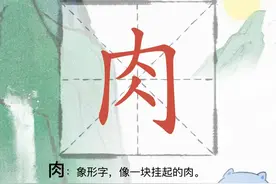 肉[ròu]，象形字，像一块挂起的肉。 *肉月旁的由来。#仓吉页爱汉字新编版  #甲骨文 #火腿视频封面