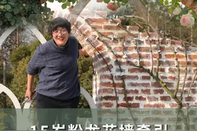 在春节前，为15岁的月季粉龙做牵引 期待春天开出3000朵花，邀请大家一起来赏花~#我的乡村生活 #爬藤月季 #青dou计划 #我的花园 #海蒂的花园 @抖音短视频视频封面