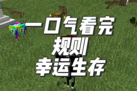 一口气看完规则幸运生存，答应我看完就睡觉吧 #叶枫的日常视频封面