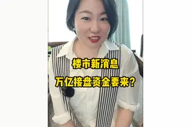 楼市新消息，万亿接盘资金要来了？ #楼市 #房产知识 #dou来守护钱袋子视频封面