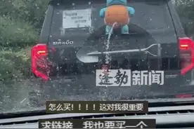 车主等红绿灯时按了喇叭，遭到前车杰尼龟挂件呲水回击，网友疯狂求链接 在哪儿可以买？（来源@王先生 ）#杰尼龟 #挂件 #快乐就这么简单视频封面