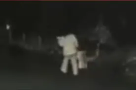 16岁女孩凌晨2点离家出走，母亲: 感觉像被别的男人骗走了！#万万没想到 #社会百态 #奇闻奇事视频封面
