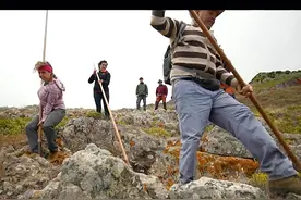 西班牙牧羊人跳跃！视频封面