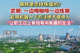 吴小弟：宝钢武钢联合重组后，武钢不仅没有消失，反而成为创新的武钢、生态的武钢！武钢要让职工过上有钱、有闲、有趣的“三有”生活，让职工充分共享改革发展的成果。视频封面