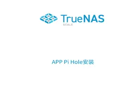 TrueNAS SCALE安装pihole，对比adguard广告过滤

图文教程视频封面
