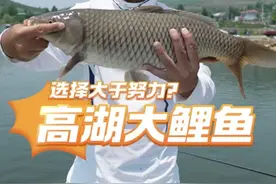 老爷子给我定的18斤大鲤鱼的目标，我应该完成了吧？#不服来高湖 #钓鱼人就是这么疯狂 #2025dou来钓鱼视频封面