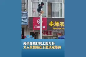 8月18日甘肃陇南，男孩怕挨打爬上路灯杆，大人拿棍条在下面淡定等待视频封面